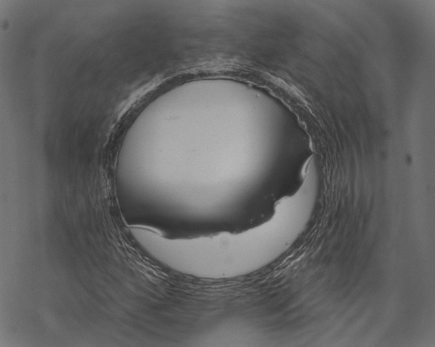 X0000067921160200605041702