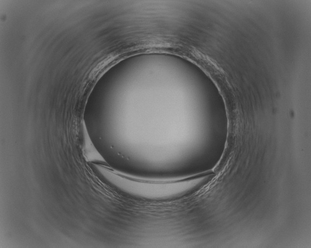 X0000067921169200605041702
