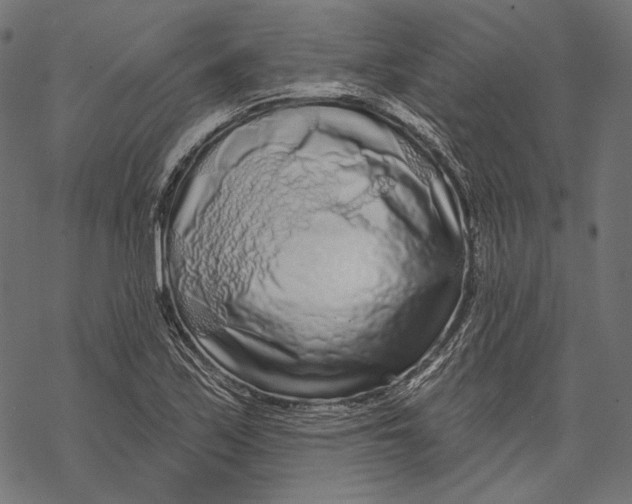 X0000067921171200605041701
