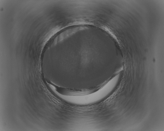 X0000067921173200605041701