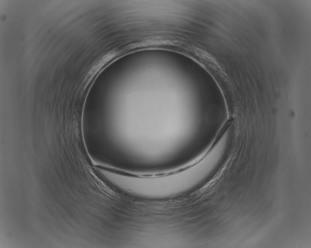 X0000067921177200605041701