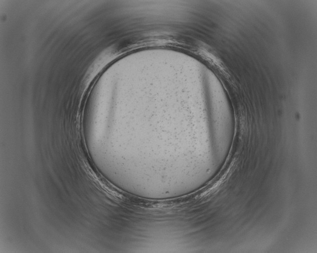 X0000067921178200605041701