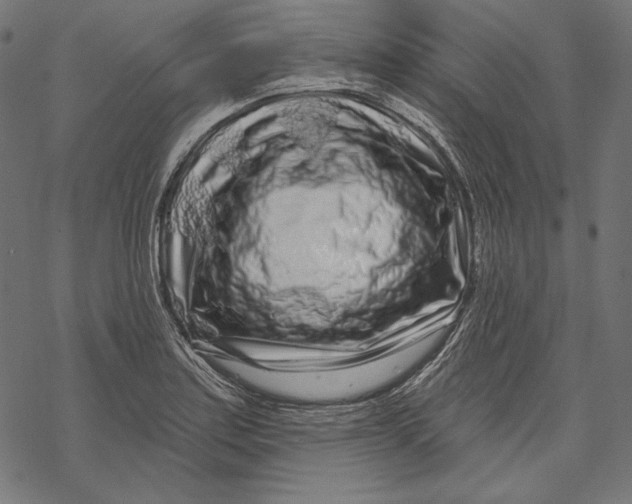 X0000067921179200605041701