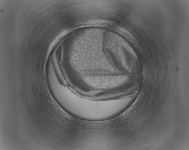 X0000067921180200605041701