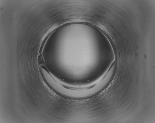 X0000067921181200605041701