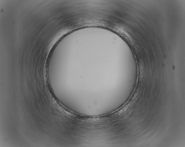 X0000067921182200605041701