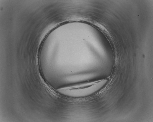 X0000067921183200605041701