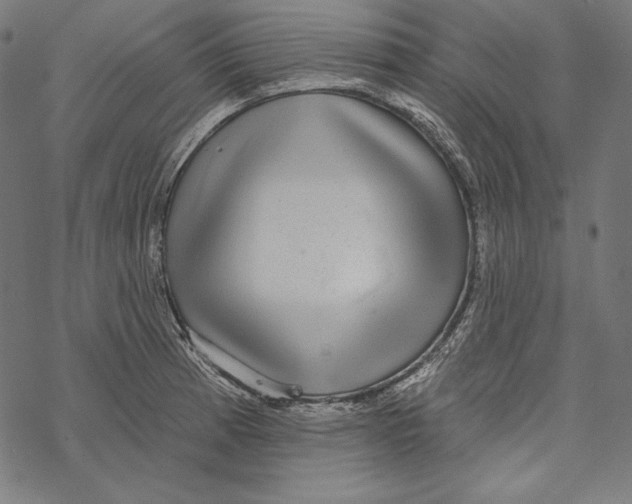 X0000067921185200605041701