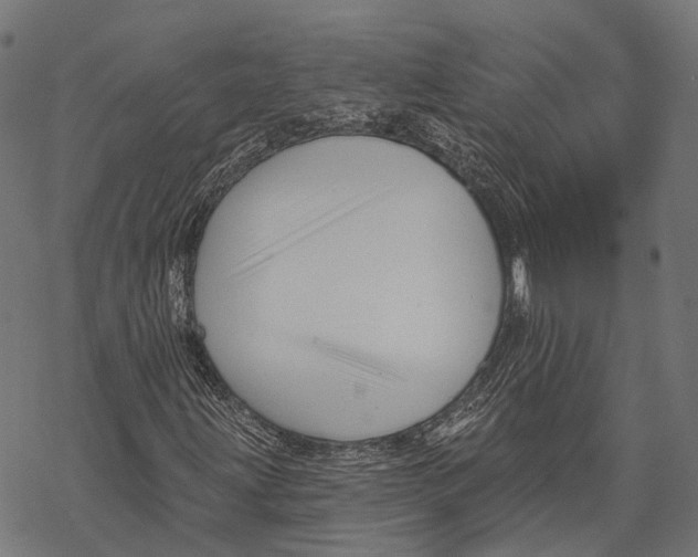 X0000067921203200605041700