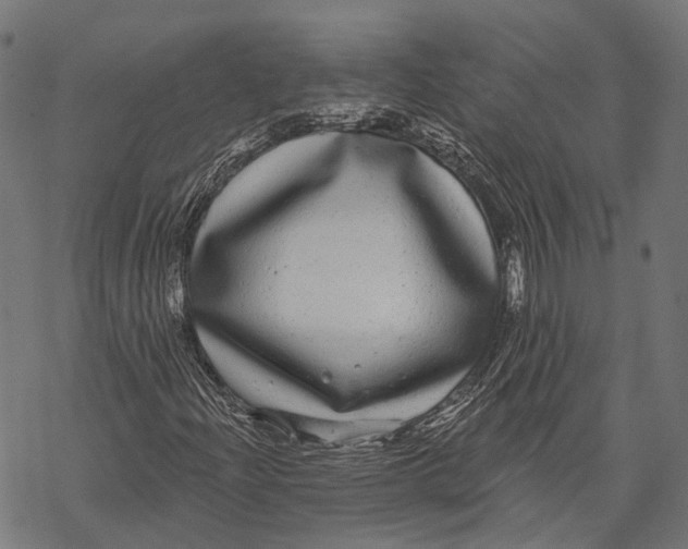 X0000067921204200605041700