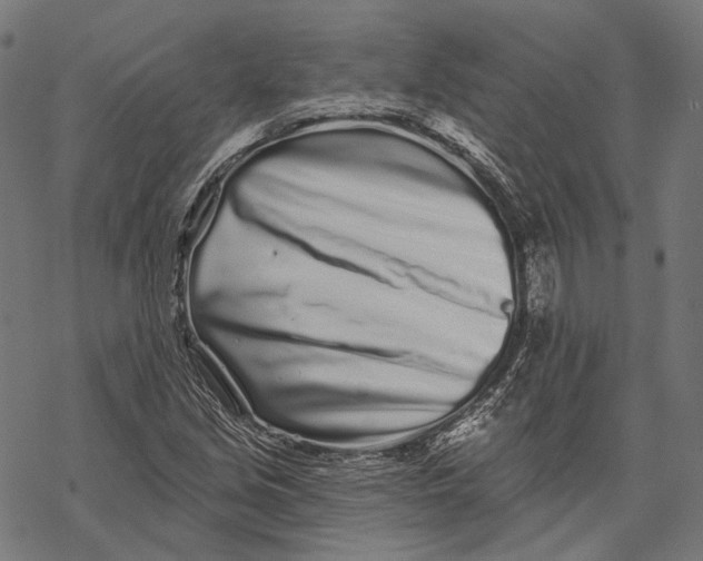 X0000067921213200605041700