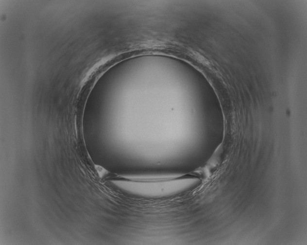 X0000067921214200605041700
