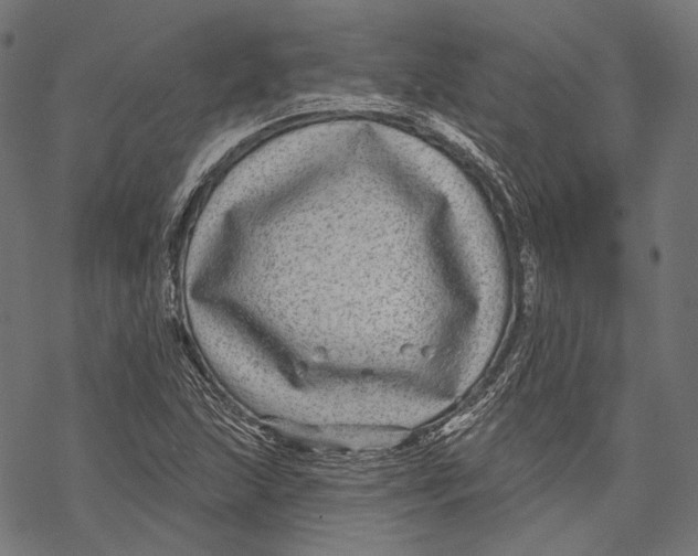 X0000067921215200605041700