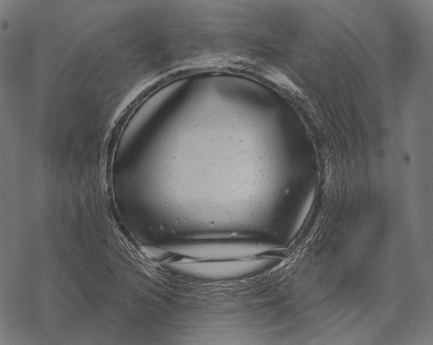 X0000067921216200605041700