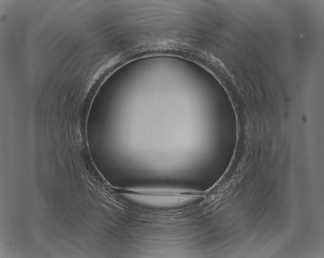 X0000067921218200605041700