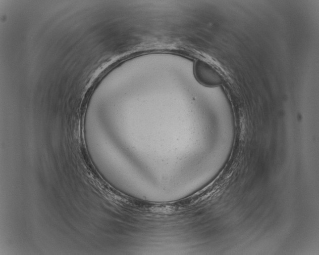 X0000067921220200605041700