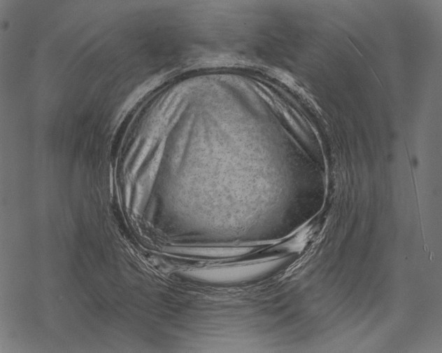 X0000067921221200605041700