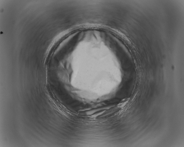 X0000067921223200605041700