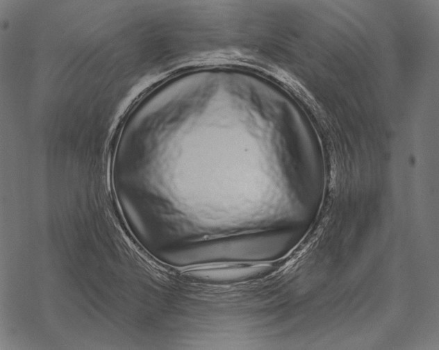 X0000067921224200605041700