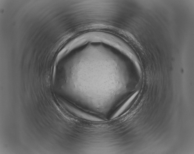 X0000067921225200605041700