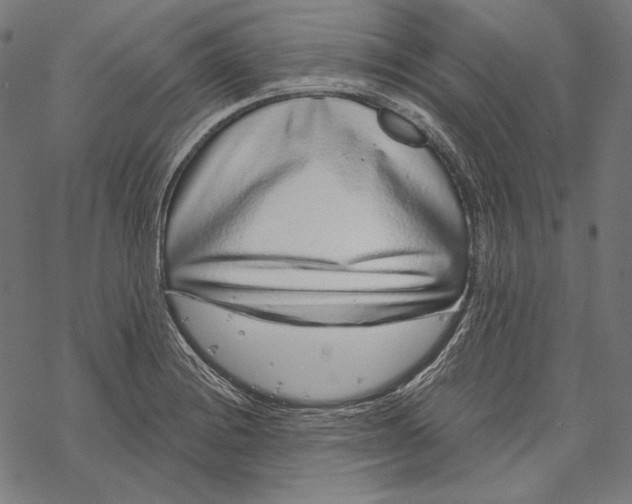 X0000067921228200605041701