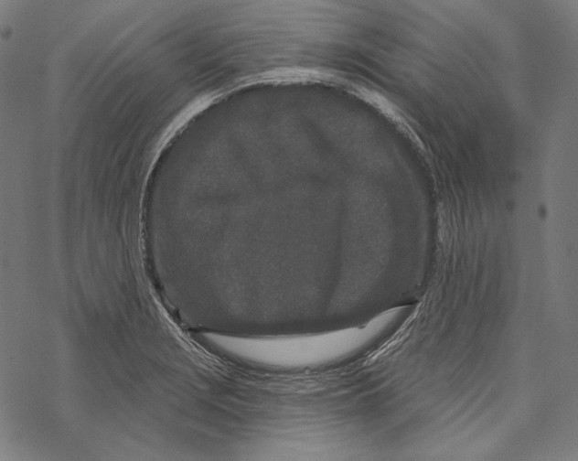 X0000067921229200605041701