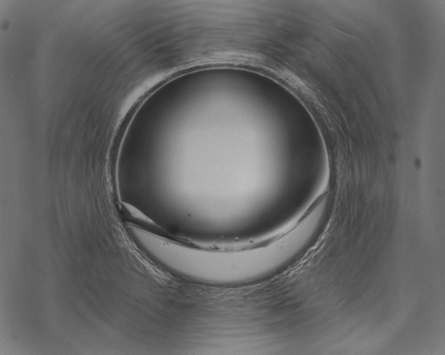 X0000067921230200605041701