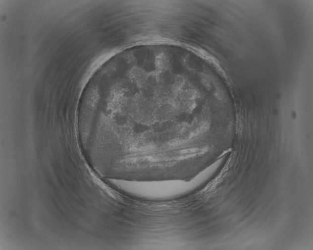 X0000067921231200605041701