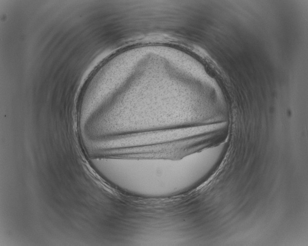 X0000067921232200605041701