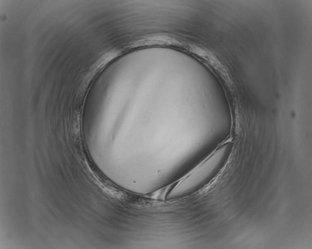 X0000067921233200605041701