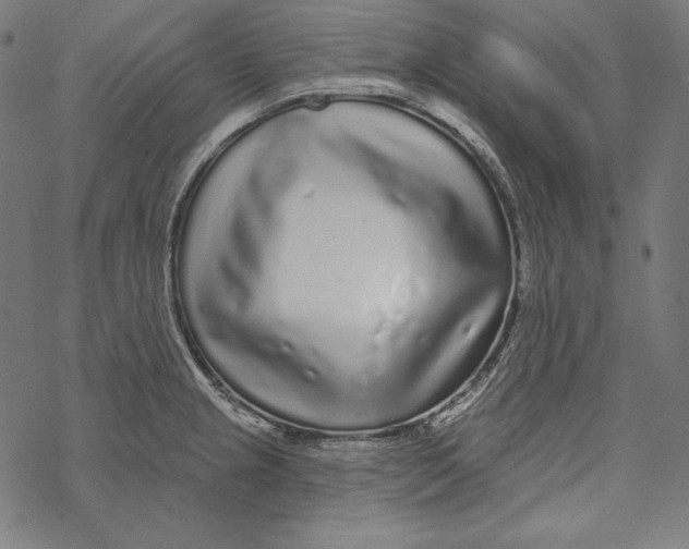 X0000067921237200605041701