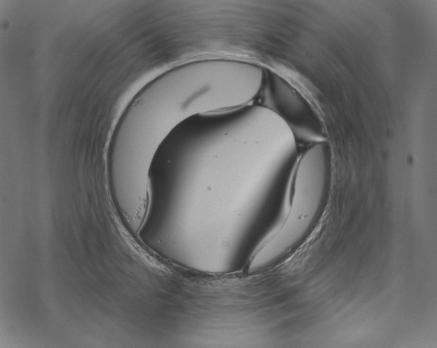 X0000067921238200605041701