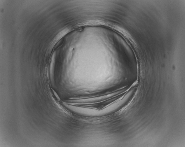 X0000067921241200605041701