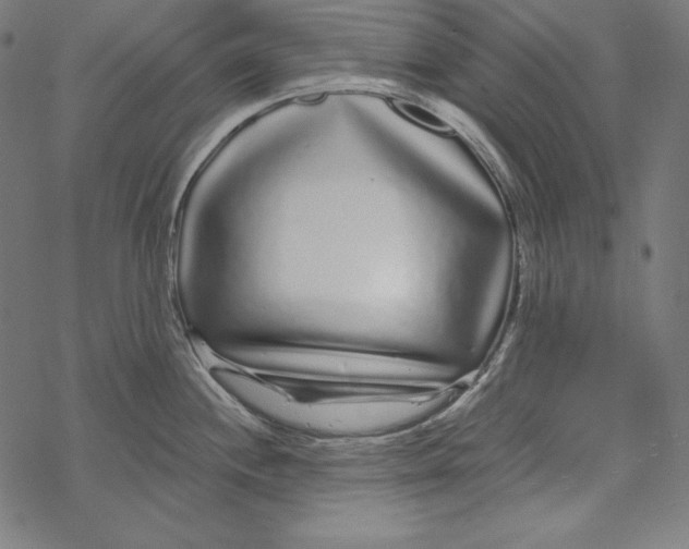 X0000067921244200605041701