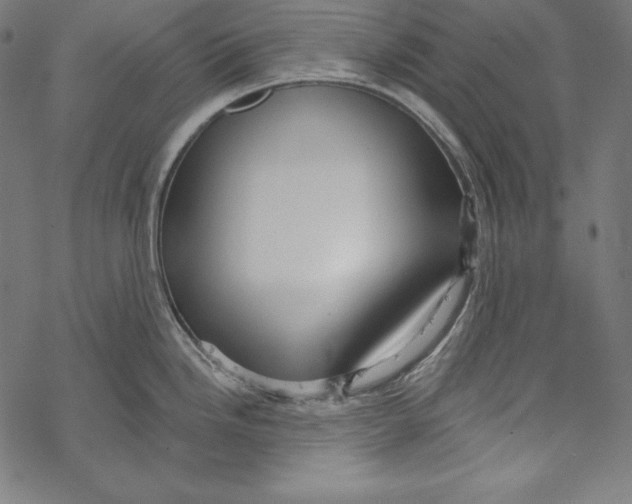 X0000067921246200605041701