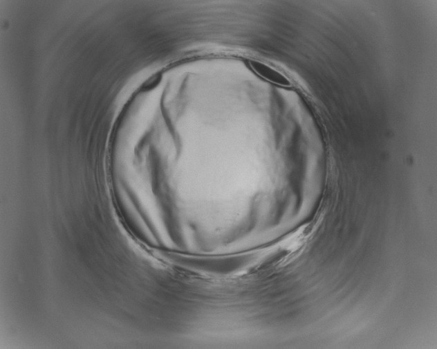 X0000067921247200605041701