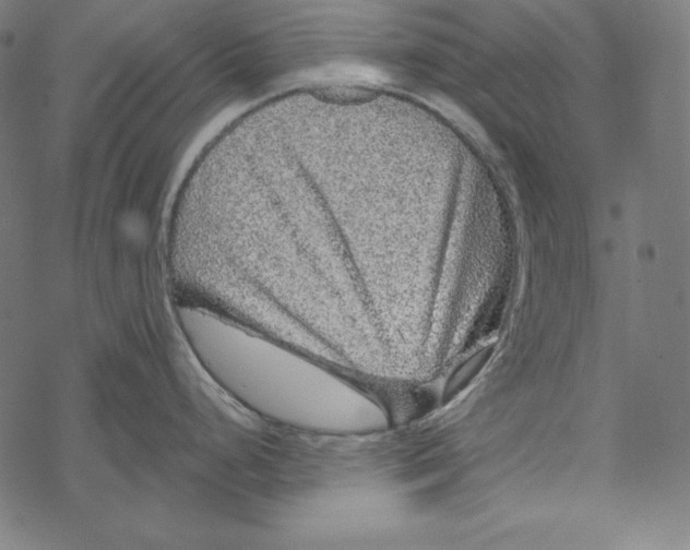 X0000067921248200605041701