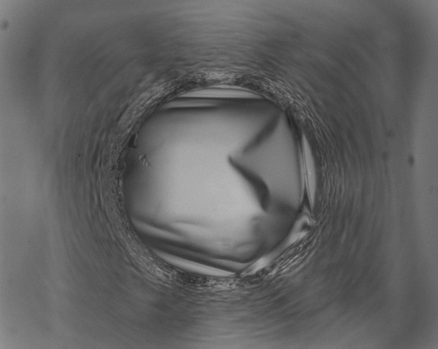 X0000067921249200605041700