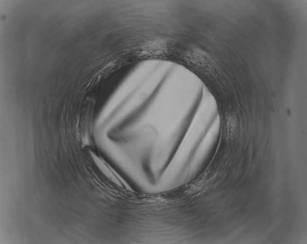 X0000067921250200605041700