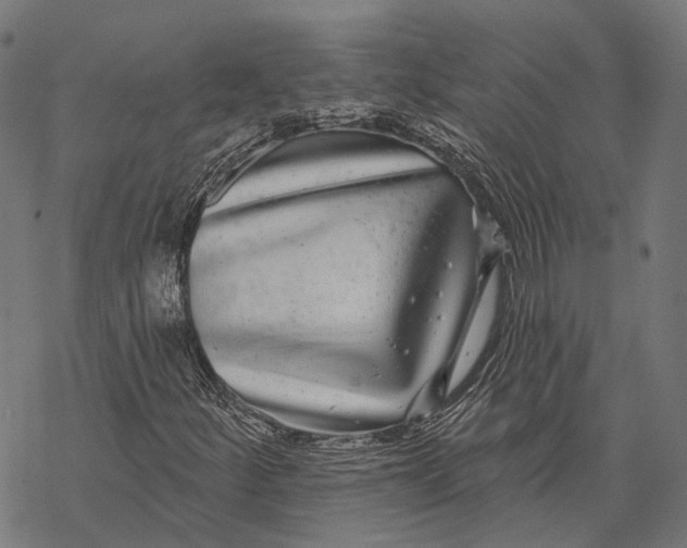 X0000067921252200605041700