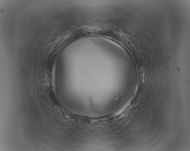 X0000067921253200605041700