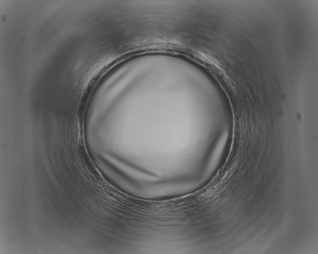 X0000067921267200605041700