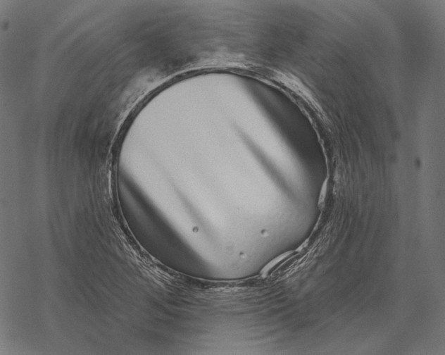 X0000067921268200605041700