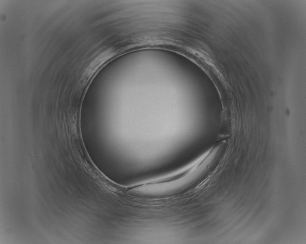 X0000067921273200605041700