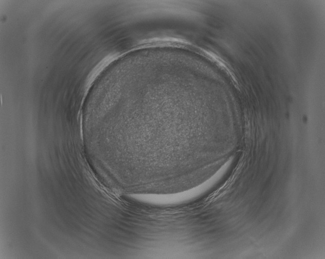 X0000067921275200605041700