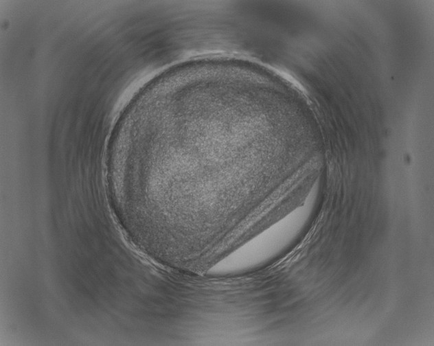 X0000067921279200605041659