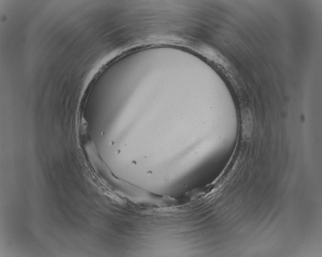 X0000067921280200605041659