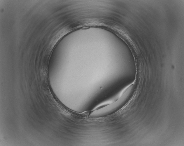 X0000067921281200605041659