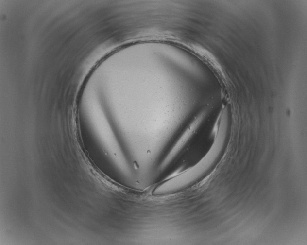X0000067921288200605041659