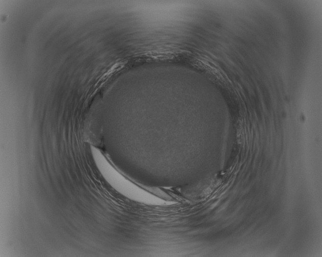 X0000067921298200605041658